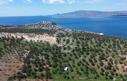 ALİAĞA ŞAKRAN'DA (2000 M2) SATILIK ARSA