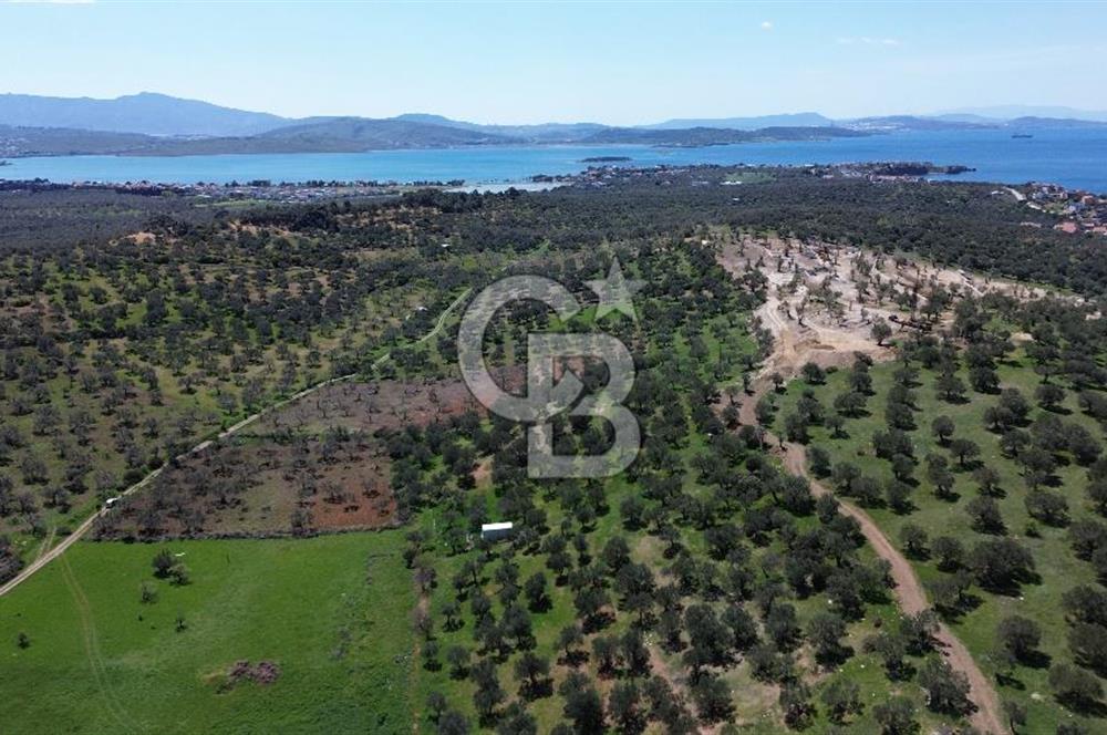 ALİAĞA ŞAKRAN'DA (2000 M2) SATILIK ARSA
