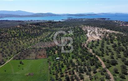 ALİAĞA ŞAKRAN'DA (2000 M2) SATILIK ARSA
