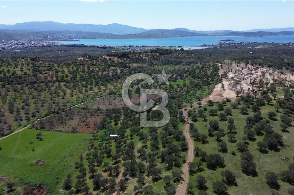 ALİAĞA ŞAKRAN'DA (2000 M2) SATILIK ARSA