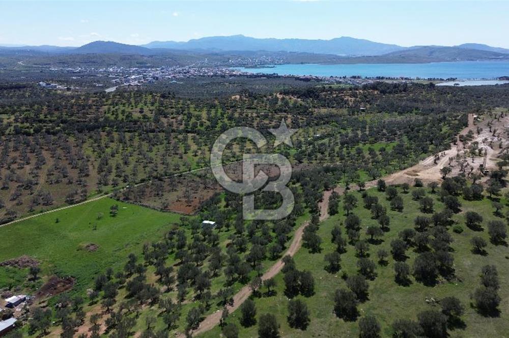 ALİAĞA ŞAKRAN'DA (2000 M2) SATILIK ARSA