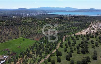 ALİAĞA ŞAKRAN'DA (2000 M2) SATILIK ARSA