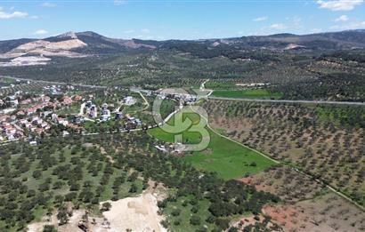 ALİAĞA ŞAKRAN'DA (2000 M2) SATILIK ARSA