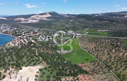 ALİAĞA ŞAKRAN'DA (2000 M2) SATILIK ARSA