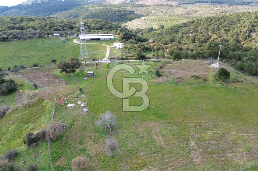 ALİAĞA AŞAĞI ŞAKRAN'DA 12.762M2 SATILIK TARLA