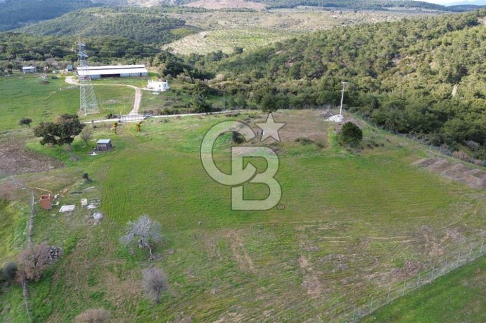 ALİAĞA AŞAĞI ŞAKRAN'DA 12.762M2 SATILIK TARLA