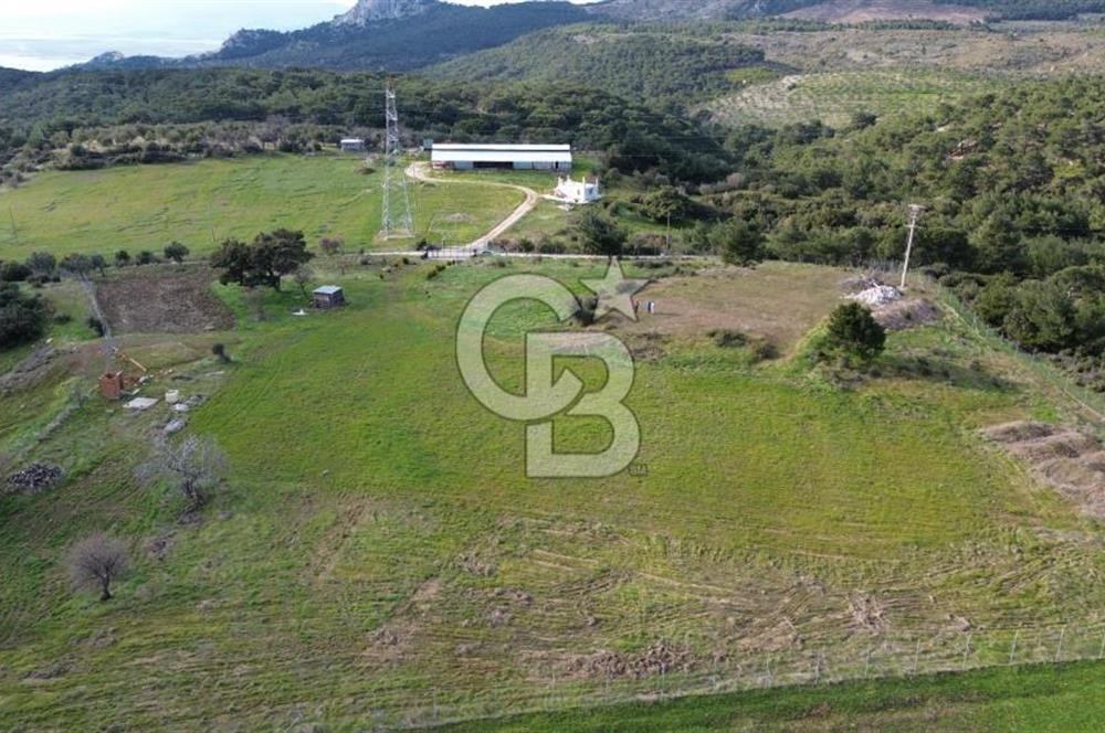 ALİAĞA AŞAĞI ŞAKRAN'DA 12.762M2 SATILIK TARLA