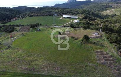 ALİAĞA AŞAĞI ŞAKRAN'DA 12.762M2 SATILIK TARLA