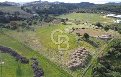 ALİAĞA AŞAĞI ŞAKRAN'DA 12.762M2 SATILIK TARLA