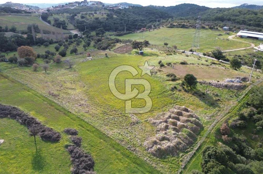 ALİAĞA AŞAĞI ŞAKRAN'DA 12.762M2 SATILIK TARLA