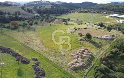 ALİAĞA AŞAĞI ŞAKRAN'DA 12.762M2 SATILIK TARLA