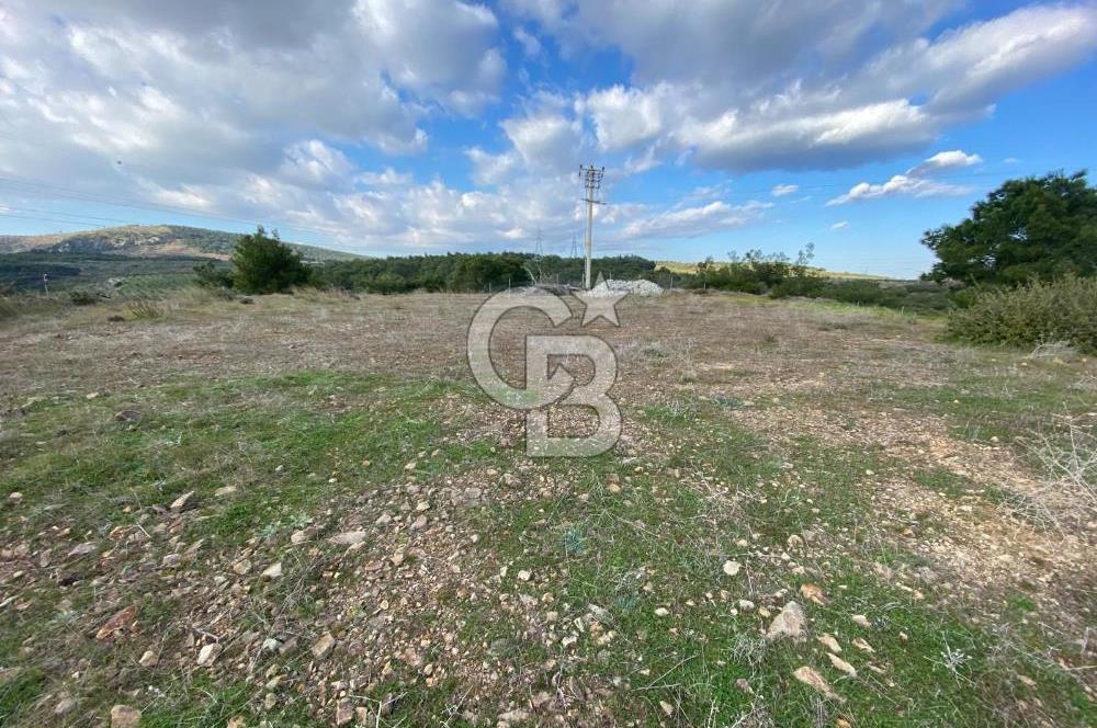 ALİAĞA AŞAĞI ŞAKRAN'DA 12.762M2 SATILIK TARLA