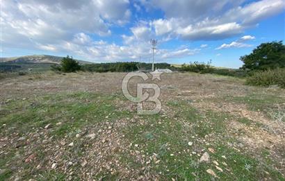 ALİAĞA AŞAĞI ŞAKRAN'DA 12.762M2 SATILIK TARLA