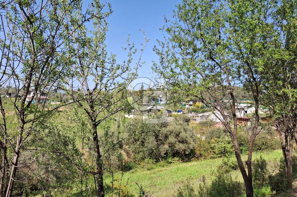 Torbalı Demirci'de 6337 M2 Satılık Zeytinlik