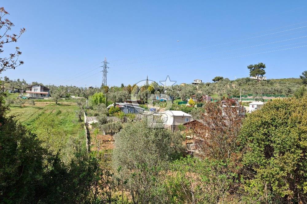 Torbalı Demirci'de 6337 M2 Satılık Zeytinlik