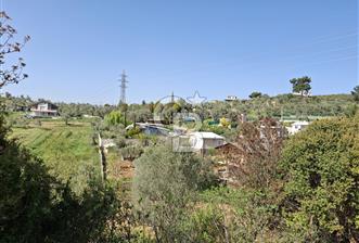 Torbalı Demirci'de 6337 M2 Satılık Zeytinlik