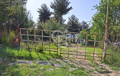 Torbalı Demirci'de 6337 M2 Satılık Zeytinlik