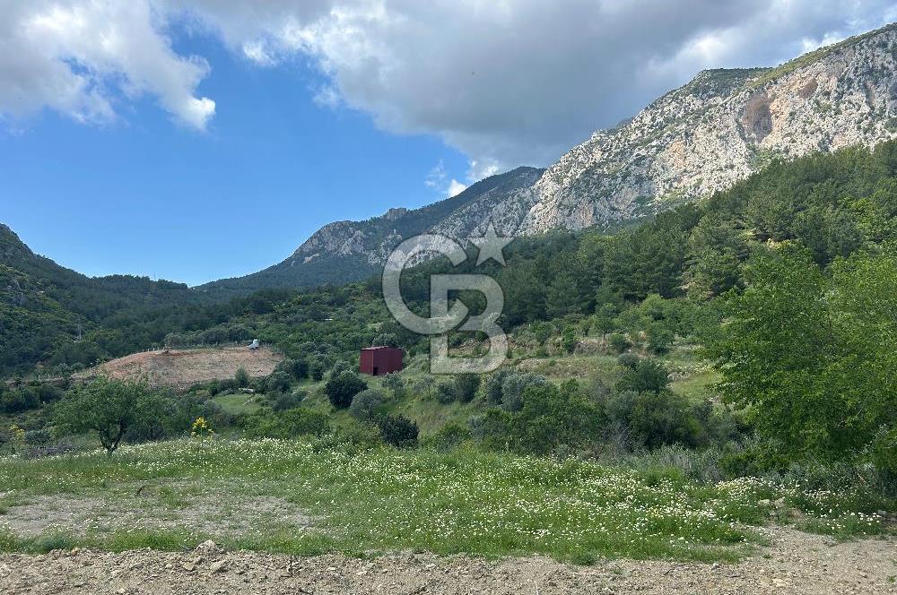 DATÇA HIZIRŞAHTA İÇİNDE TINYHOUSE OLAN MEYVE BAHÇESİ YOLU OLAN 