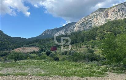 DATÇA HIZIRŞAHTA İÇİNDE TINYHOUSE OLAN MEYVE BAHÇESİ YOLU OLAN 