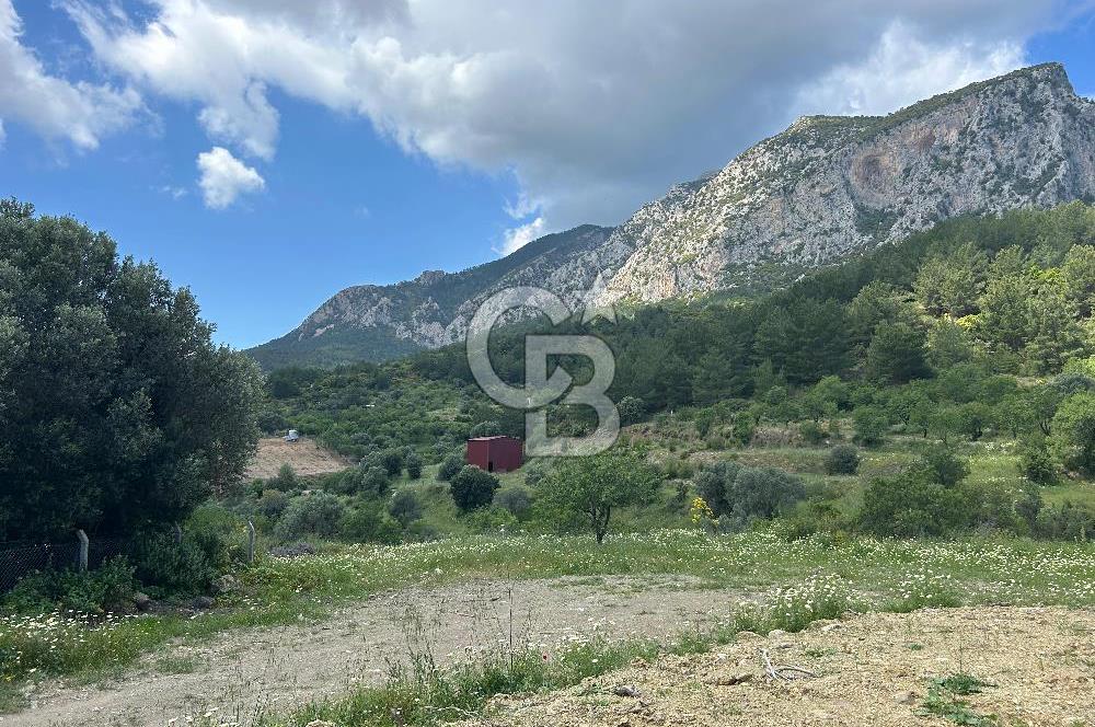 DATÇA HIZIRŞAHTA İÇİNDE TINYHOUSE OLAN MEYVE BAHÇESİ YOLU OLAN 