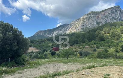 DATÇA HIZIRŞAHTA İÇİNDE TINYHOUSE OLAN MEYVE BAHÇESİ YOLU OLAN 