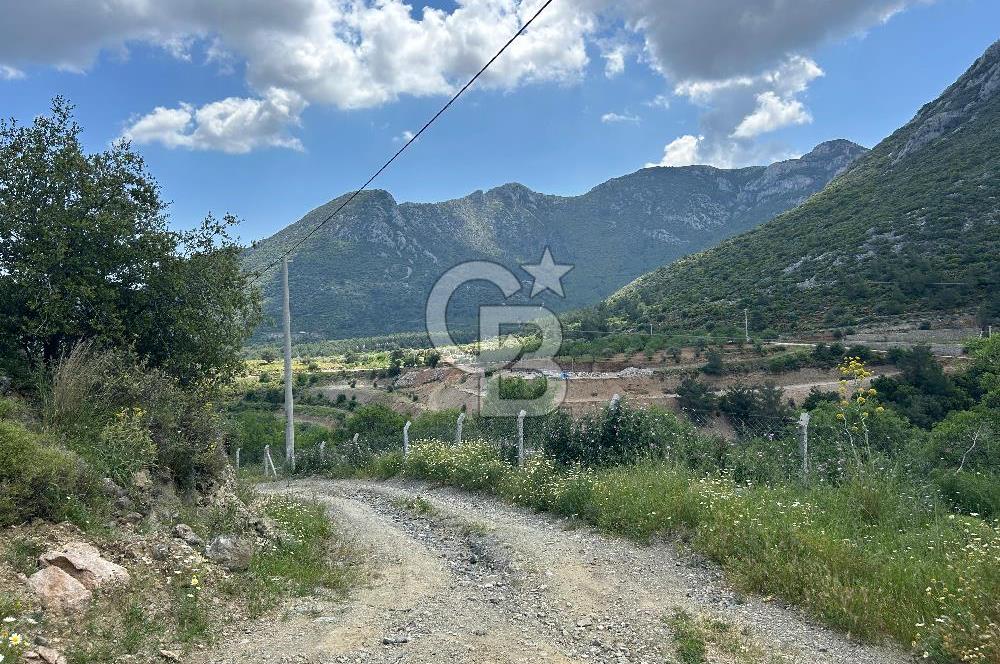 DATÇA HIZIRŞAHTA İÇİNDE TINYHOUSE OLAN MEYVE BAHÇESİ YOLU OLAN 