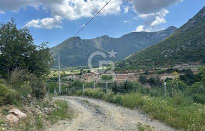 DATÇA HIZIRŞAHTA İÇİNDE TINYHOUSE OLAN MEYVE BAHÇESİ YOLU OLAN 