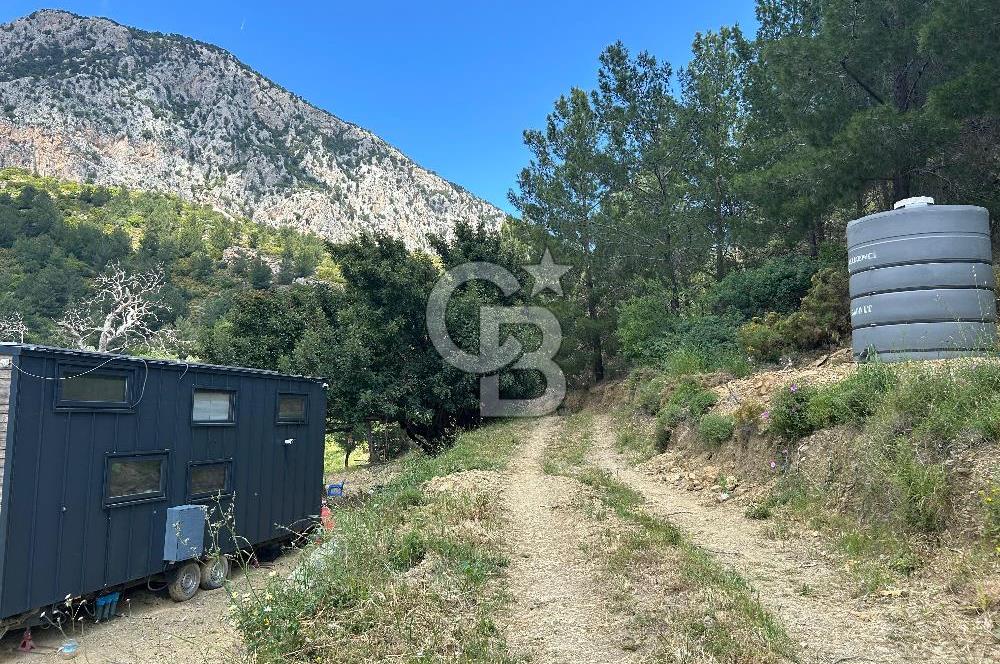 DATÇA HIZIRŞAHTA İÇİNDE TINYHOUSE OLAN MEYVE BAHÇESİ YOLU OLAN 