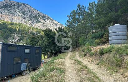 DATÇA HIZIRŞAHTA İÇİNDE TINYHOUSE OLAN MEYVE BAHÇESİ YOLU OLAN 