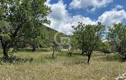Datça Cumalı’da Bademlik Arazide Yatırım ve Huzur Fırsatı!