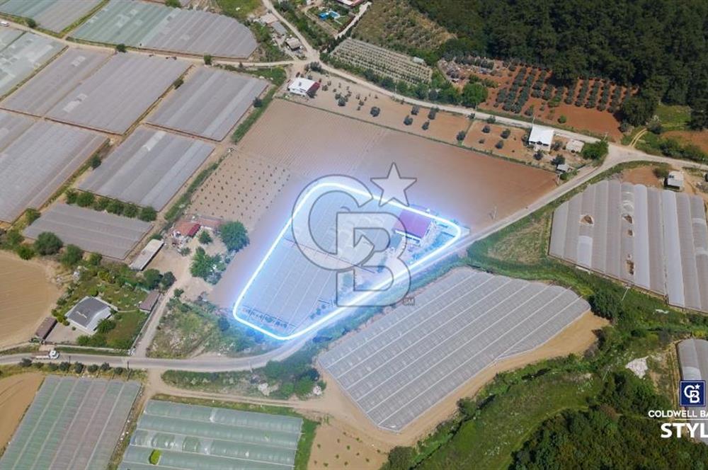 İzmir Menderes Çamönü Satılık Sulu Tarım Arazisi 