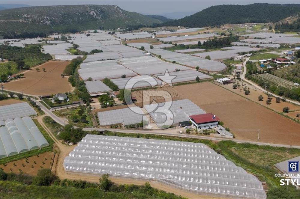 İzmir Menderes Çamönü Satılık Sulu Tarım Arazisi 