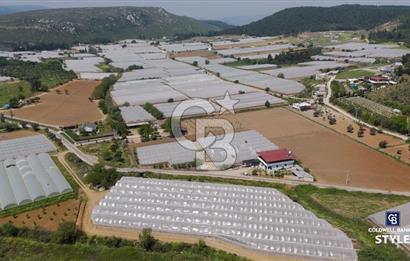 İzmir Menderes Çamönü Satılık Sulu Tarım Arazisi 