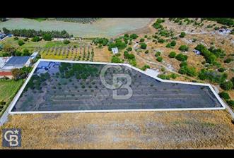 ALİAĞA HELVACI KÖYÜNDE ESKİ FOÇA YOLU'NA 215 METRE SATILIK TARLA