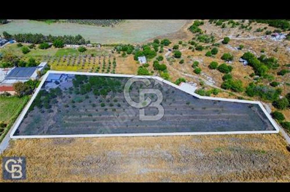 ALİAĞA HELVACI KÖYÜNDE ESKİ FOÇA YOLU'NA 215 METRE SATILIK TARLA