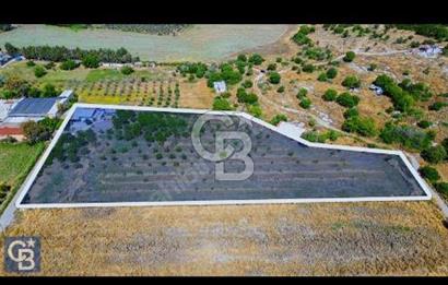 ALİAĞA HELVACI KÖYÜNDE ESKİ FOÇA YOLU'NA 215 METRE SATILIK TARLA