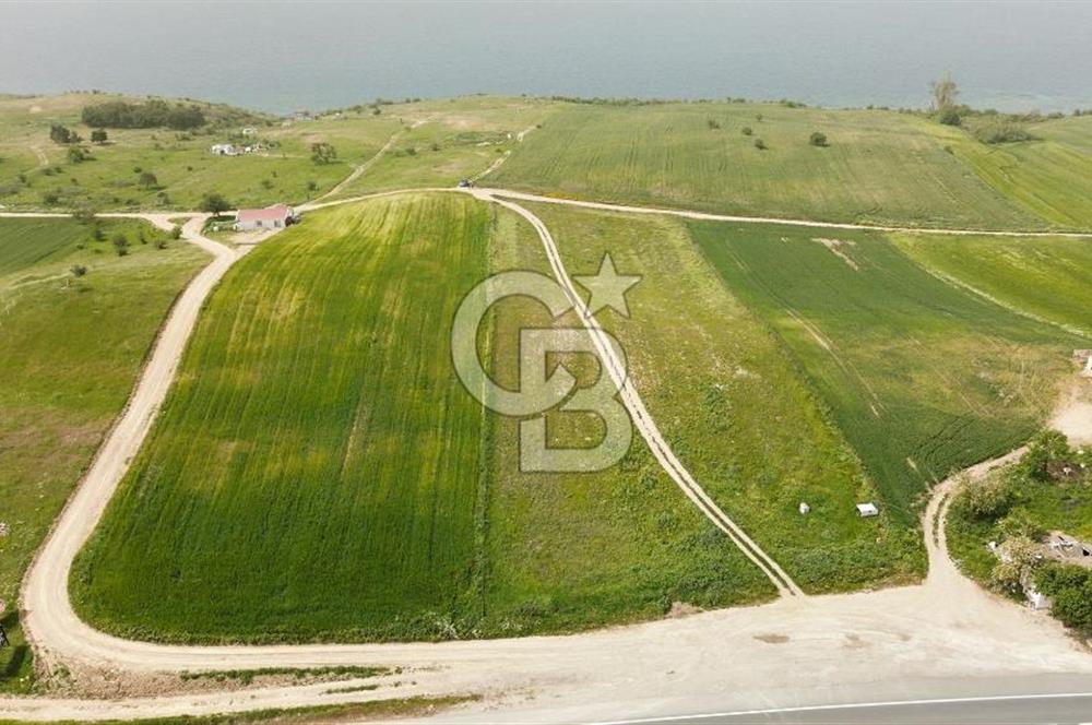 Saros Körfezi'nin Yeni Gözdesi Koruköyde Satılık Arsa