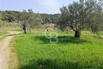 İNCİRLİK RUM DERESİ MEVKİİ 250M2 DENİZ MANZARALI HOBİ BAHÇESİ
