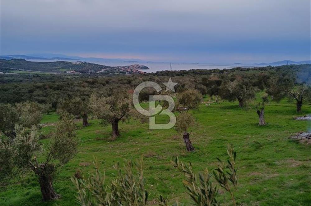 İNCİRLİK RUM DERESİ MEVKİİ 250M2 DENİZ MANZARALI HOBİ BAHÇESİ