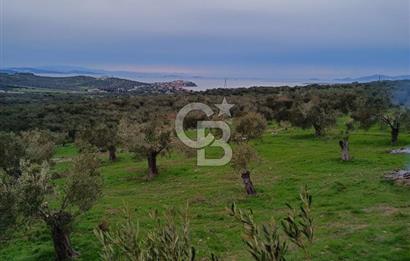 İNCİRLİK RUM DERESİ MEVKİİ 250M2 DENİZ MANZARALI HOBİ BAHÇESİ