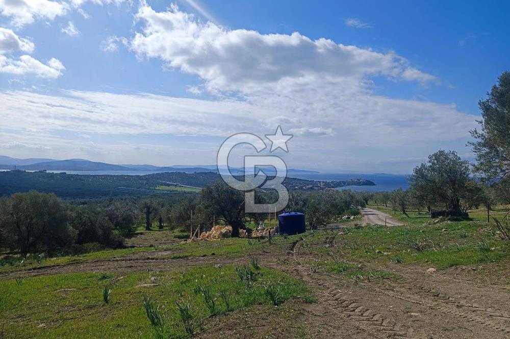 İNCİRLİK RUM DERESİ MEVKİİ 250M2 DENİZ MANZARALI HOBİ BAHÇESİ