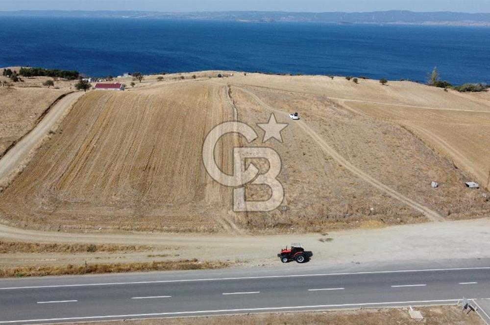 Saros Körfezi'nin Yeni Gözdesi Koruköyde Satılık Arsa