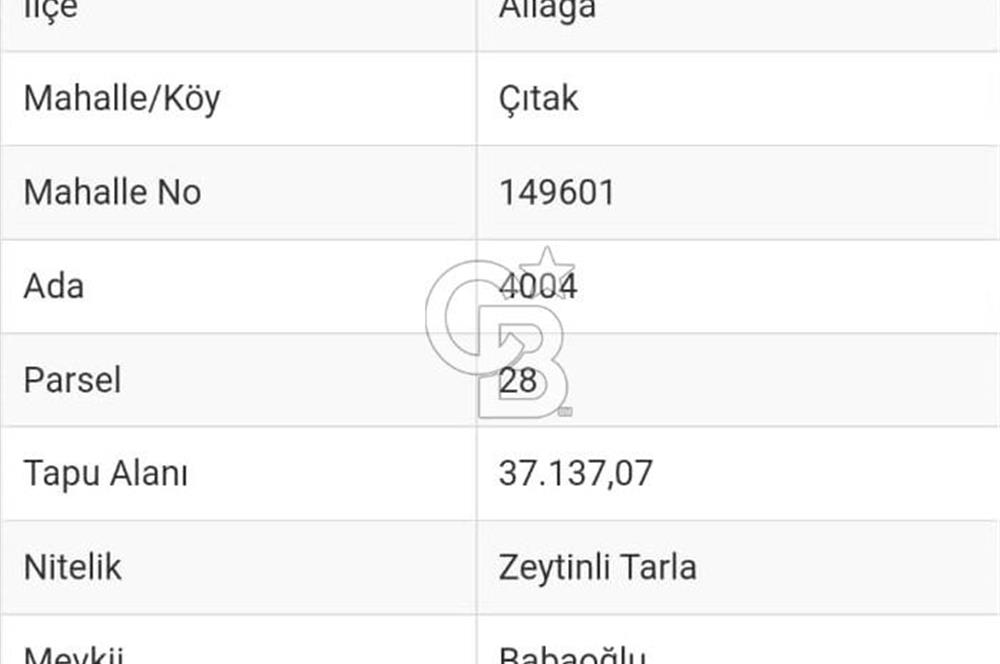 COLDWELL BANKER'DAN ÇITAKTA SATILIK 37 DÖNÜM TARLA!