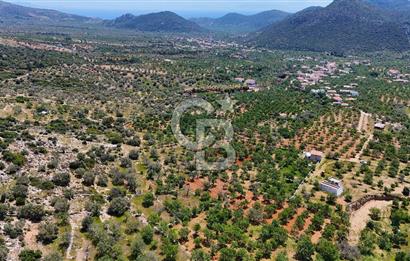 Datça Cumalı’da Bademlik Arazide Yatırım ve Huzur Fırsatı!