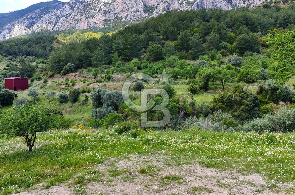 DATÇA HIZIRŞAHTA İÇİNDE TINYHOUSE OLAN MEYVE BAHÇESİ YOLU OLAN 