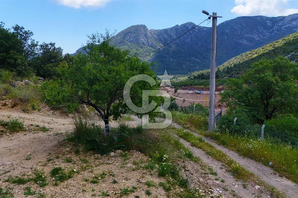 DATÇA HIZIRŞAHTA İÇİNDE TINYHOUSE OLAN MEYVE BAHÇESİ YOLU OLAN 