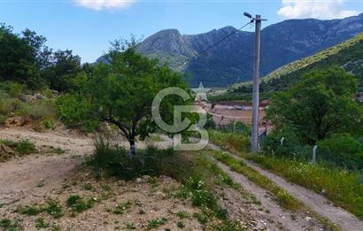 DATÇA HIZIRŞAHTA İÇİNDE TINYHOUSE OLAN MEYVE BAHÇESİ YOLU OLAN 