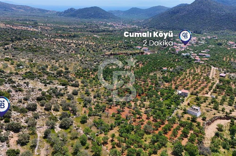 Datça Cumalı’da Bademlik Arazide Yatırım ve Huzur Fırsatı!