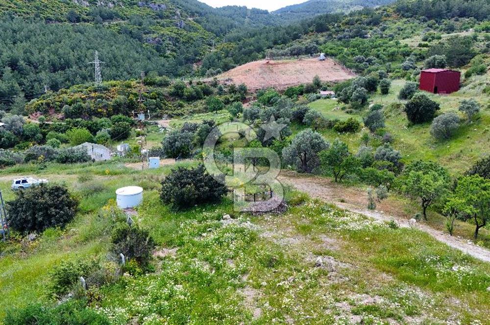 DATÇA HIZIRŞAHTA İÇİNDE TINYHOUSE OLAN MEYVE BAHÇESİ YOLU OLAN 