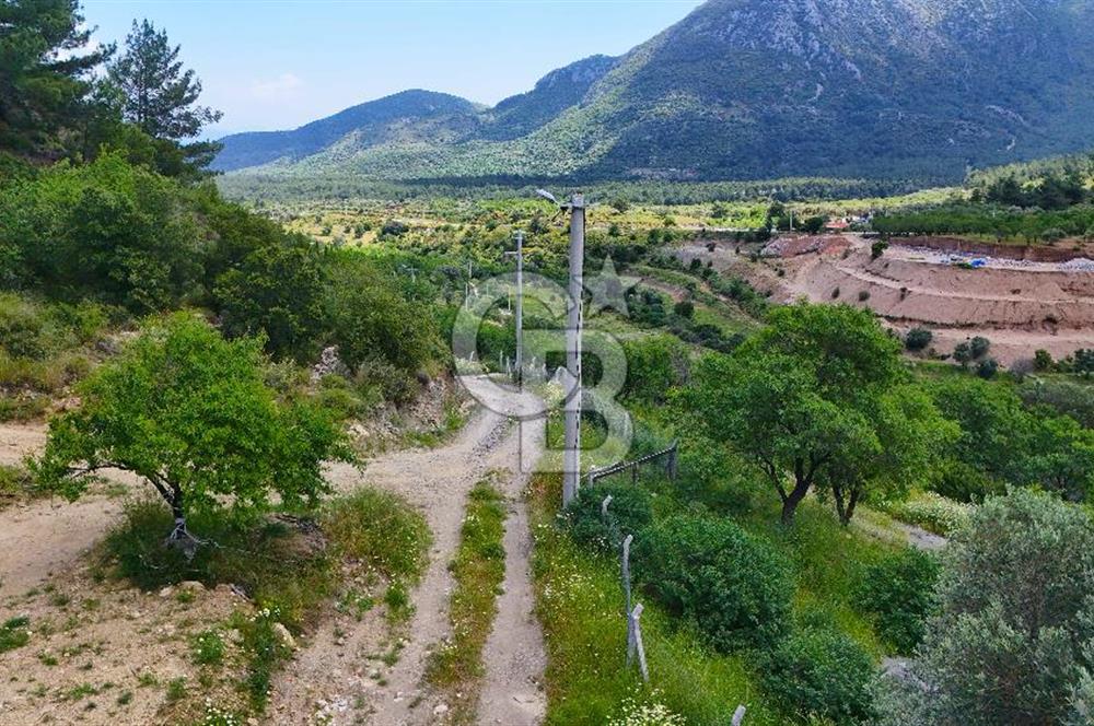 DATÇA HIZIRŞAHTA İÇİNDE TINYHOUSE OLAN MEYVE BAHÇESİ YOLU OLAN 